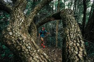 BIB: 
                            <button type="button" onclick="openModal(25392700)" class="btn btn-primary btn-sm float-right btn-popup" data-toggle="modal" data-target=".modal-high-quality">
                        <i class="fas fa-shopping-cart"></i> Add to Cart
                    </button>
                                            <button type="button" onclick="isThisMe(25392700, true)" class="btn btn-success btn-sm float-right btn-popup btn-isme hidden" data-toggle="tooltip" data-placement="bottom" title="นี่คือรูปของคุณใช่ไหม คลิกที่นี่เพื่อเอาเข้าอัลบั้ม">
                        <i class="fas fa-plus"></i> Add to album
                    </button>
                    <button type="button" onclick="isThisMe(25392700, false)" class="btn btn-warning btn-sm float-right btn-popup btn-isnotme hidden">
                        <i class="fas fa-ban"></i> Remove from album
                    </button>